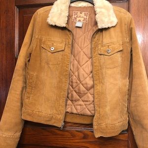 Hollister Corduroy Jacket